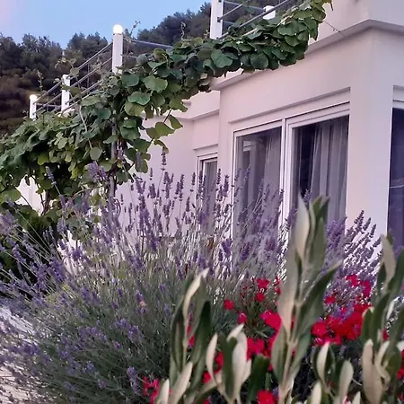 Vila - Luxury With Swimming Pool Vis