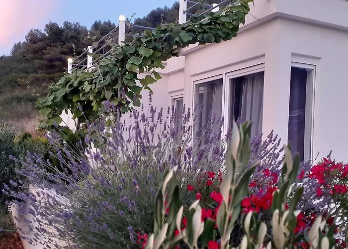 Villa - Luxury With Swimming Pool Vis